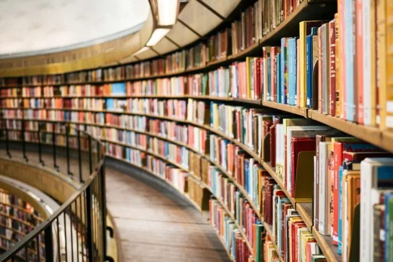 Books on brown wooden shelf