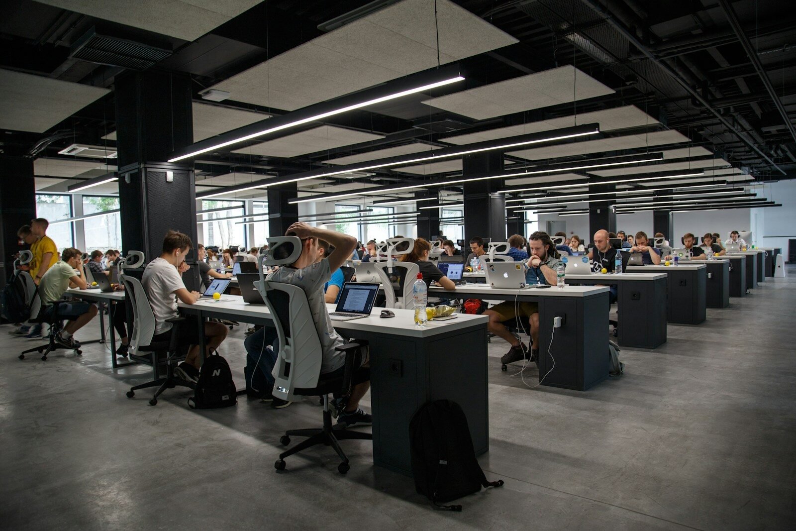 People Doing Office Works